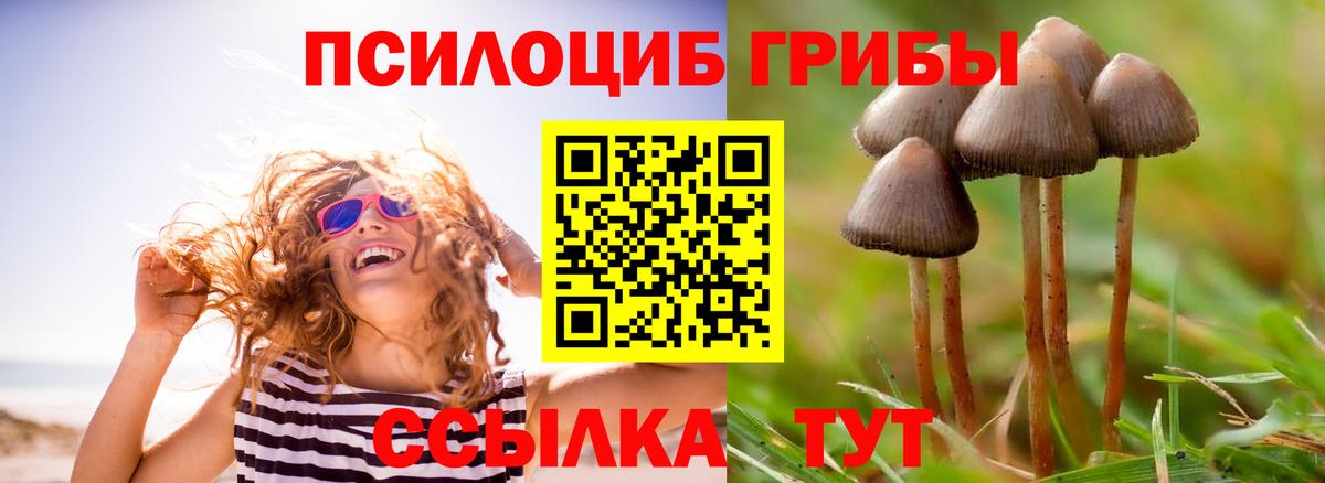 Псилоцибиновые грибы мухоморы Каменск-Шахтинский